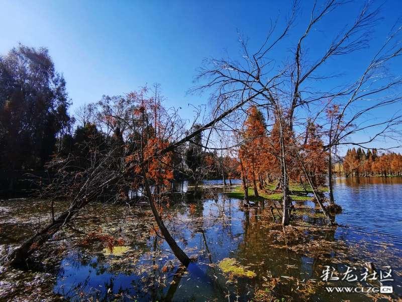 股票代码：000926    股票简称：福星股份    编号：2024-009